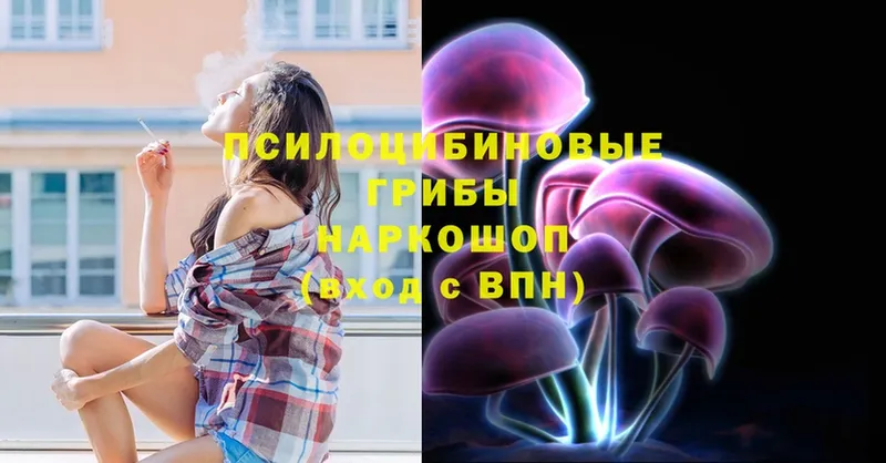 даркнет сайт  Гусь-Хрустальный  Псилоцибиновые грибы MAGIC MUSHROOMS 